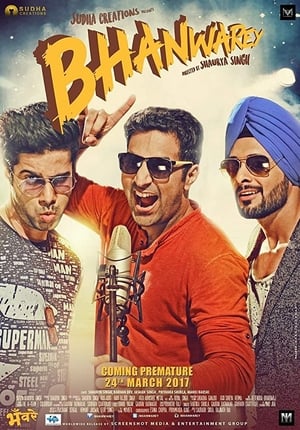 Bhanwarey 2017 Hindi Movie – [300MB] Movie Poster