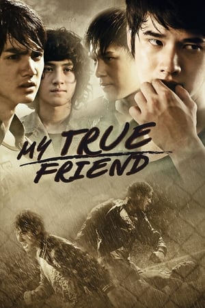 Friends Never Die (2012) Hindi Dubbed [1.1GB] Movie Poster