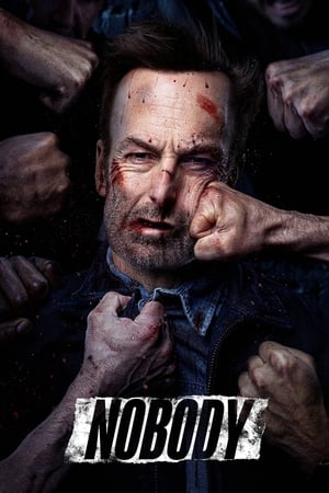 Nobody (2021) Hindi (Cleaned) Dual Audio 320MB Movie Poster