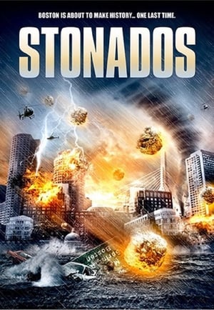 Stonados (2013) Hindi Dual Audio [840MB] Movie Poster