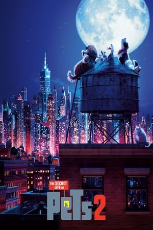 The Secret Life of Pets 2 (2019) Hindi (Original) Dual Audio [850MB] Movie Poster
